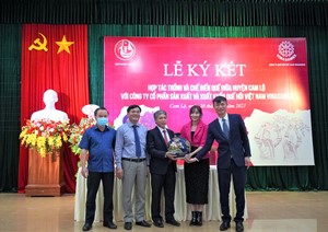 Ký kết hợp tác bao tiêu sản phẩm quế hữu cơ cho nông dân Quảng Trị